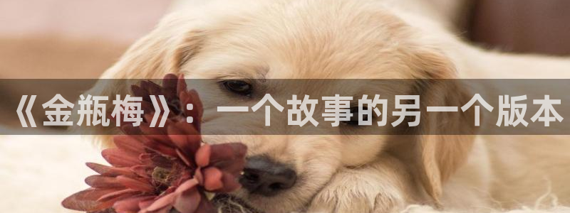 秘密教学香蕉漫画